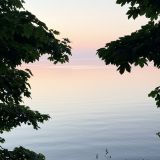 Апарт-отель ELYBAY, фото гостя