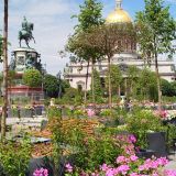 Ленинградская область, фото отдыхающего в июле