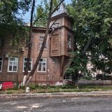 Поволжье, фото отдыхающего в июне