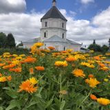 Центральная Россия, фото отдыхающего в июле