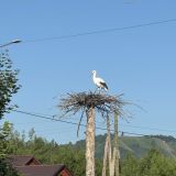Гостевой дом Белый Аист, фото гостя