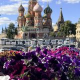 Московская область, фото отдыхающего в июне