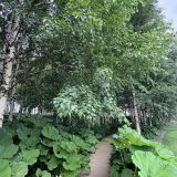 Московская область, фото отдыхающего в июне
