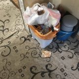 Гостевой дом Grate Seasons, фото гостя