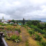 Центральная Россия, фото отдыхающего в июле