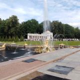 Ленинградская область, фото отдыхающего в июле