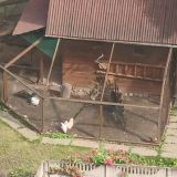 Апарт-отель Kirovsky Avenir (Дорога на Турухтанные Острова), фото гостя