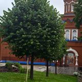 Ижевск, фото отдыхающего в июле