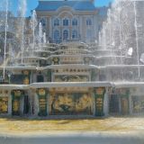 Ленинградская область, фото отдыхающего в июле