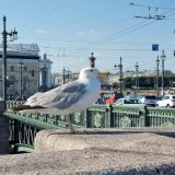 Ленинградская область, фото отдыхающего в июле