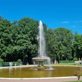 Ленинградская область, фото отдыхающего в июле