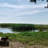 База отдыха ВитТех Куршская коса, фото гостя