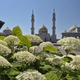Республика Татарстан, фото отдыхающего в июле