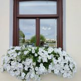 Республика Татарстан, фото отдыхающего в июле