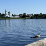Средняя полоса России, фото отдыхающего в июле