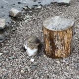 Гостевой дом На берегу, фото гостя