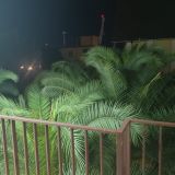 Гостевой дом Palma Раrk, фото гостя