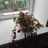 Мини-отель На Профсоюзной, фото гостя