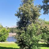 Гостиница Ольгинская, фото гостя