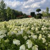 Краснодар, фото отдыхающего в июле