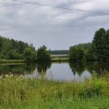 Отель-заповедник Лесное, фото гостя