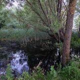 Переславль-Залесский, фото отдыхающего в июле