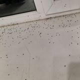 Апарт-отель Мой Питер на Ординарной 8, фото гостя