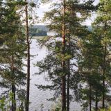Парк-Отель Триумф, фото гостя