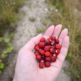 Парк-Отель Триумф, фото гостя