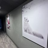 Смарт-отель Асгард, фото гостя