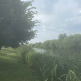 Центральная Россия, фото отдыхающего в июле
