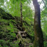 Гостевой дом Сова от Травел Хотелс Антураж, фото гостя