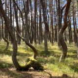 Зеленоградск, фото отдыхающего в июле