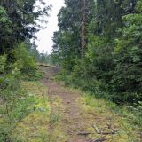 Гостевой дом Сканди, фото гостя