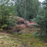 Гостевой дом Сканди, фото гостя