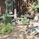 База отдыха Рублевка, фото гостя