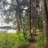 Гостевой дом Истра, фото гостя