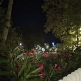 Сочи, фото отдыхающего в июле