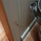 Гостевой дом Смайл, фото гостя