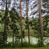 Эко-отель Green Ландия, фото гостя
