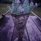 Усадьба В ГОСТЯХ У НОБЕЛЯ, фото гостя