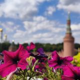 Москва, фото отдыхающего в августе