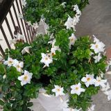 Гостевой дом Панорама, фото гостя