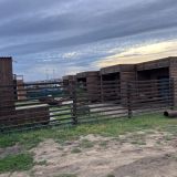 Загородный отель BaikalWood Hotel&Spa, фото гостя