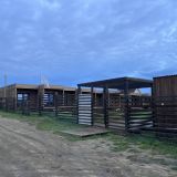 Загородный отель BaikalWood Hotel&Spa, фото гостя
