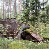 Соколинское, фото отдыхающего в августе