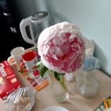 Гостевой дом Homestay Uley, фото гостя