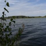 Загородный дом Мэджик Клаб, фото гостя