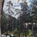 Апартаменты Пальмира, фото гостя