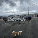 Архангельск, фото отдыхающего в августе